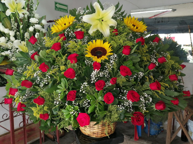 Foto de Florería Los Alcatraces Floristería en Coyoacán