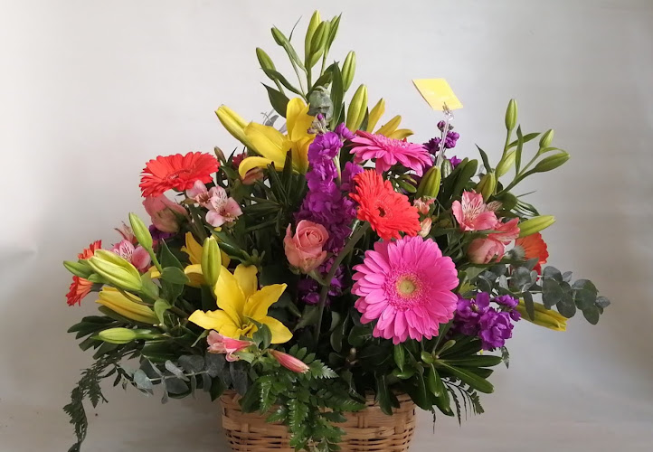Foto de Alcatraz Florería Floristería en Celaya