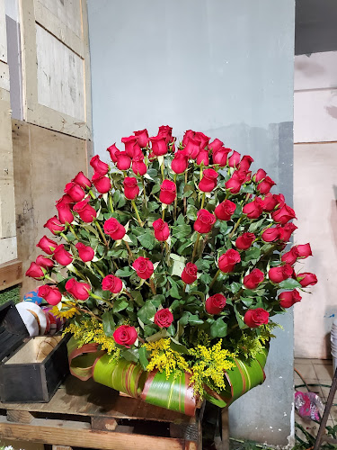Foto de Floreria Ramos Floristería en Rosarito