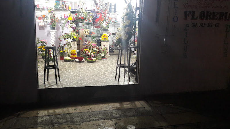 Foto de Florería los Girasoles Floristería en Atlixco