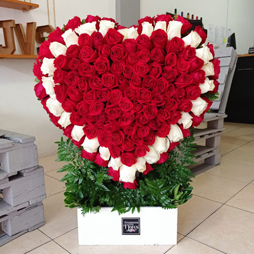 Foto de Enamora Con Flores Floreria en Tuxtla Gutierrez Floristería en Tuxtla Gutiérrez