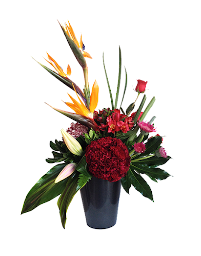 Foto de Quiero Flores Floristería en Puerto Vallarta