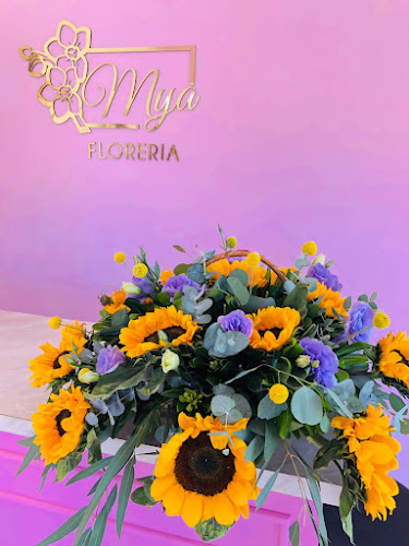 Foto de Florería MYA Floristería en Atlixco