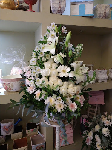 Foto de Florería Máxima Floristería en Celaya