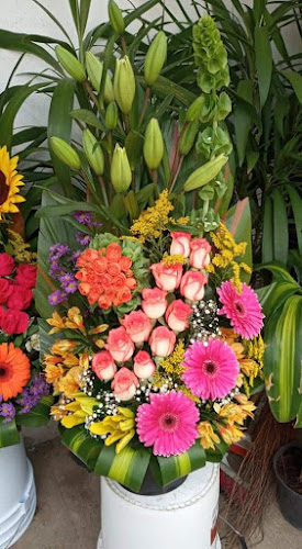 Foto de Floreria Annel Floristería en Xalapa-Enríquez
