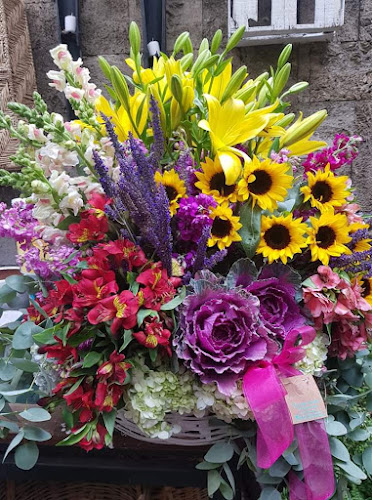 Foto de No Me Olvides Florería Fina Floristería en Benito Juárez