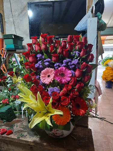 Foto de Florería Xochimilco Floristería en Poza Rica de Hidalgo