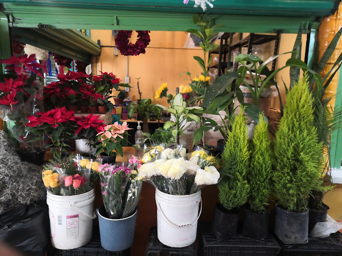 Foto de Plantas Flores y Arreglos Natalia Floristería en Iztapalapa