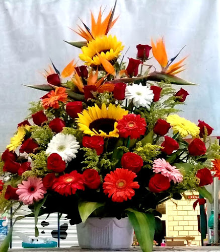 Foto de Florería Floristería en Álvaro Obregón
