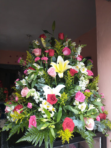 Foto de Floreria Alonso Floristería en San Juan del Río