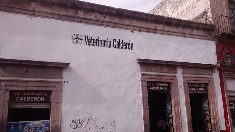 Foto de Tienda de mascotas en Morelia