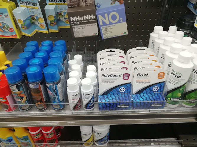 Foto de Tienda de mascotas en Celaya