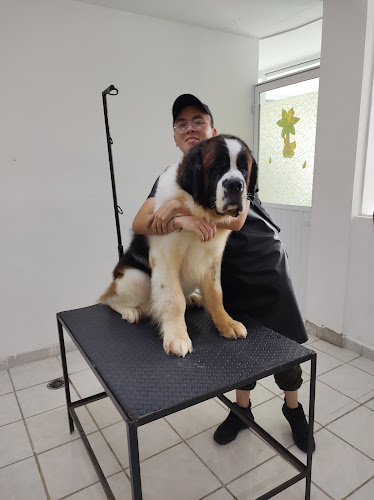 Foto de Veterinaria en Tehuacán