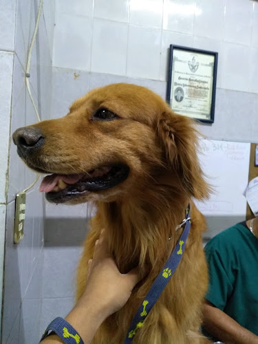 Foto de Veterinaria en Puebla