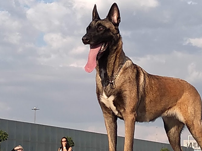 Foto de Farmacia veterinaria en Acapulco de Juárez