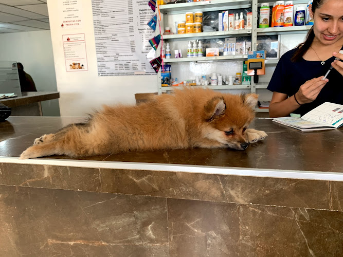 Foto de Veterinaria en Saltillo
