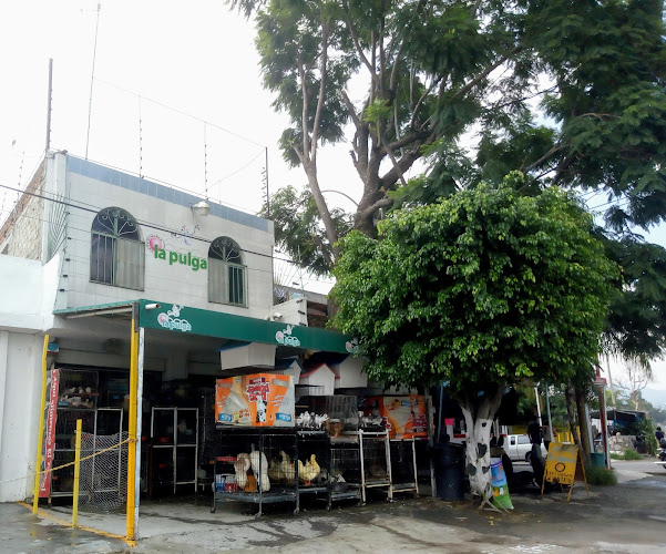 Foto de Veterinaria en Zapopan