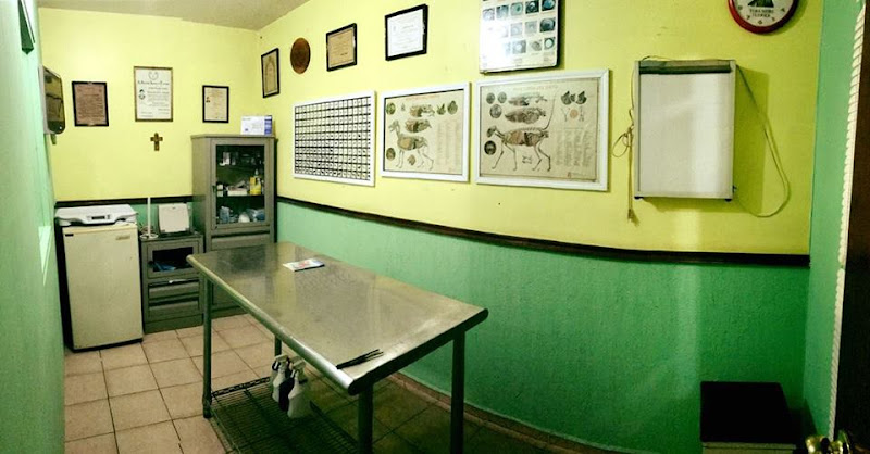 Foto de Veterinaria en Tampico