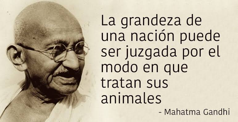 Foto de Veterinaria en León