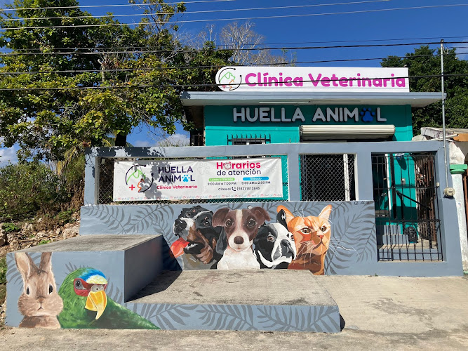 Foto de Veterinaria en Felipe Carrillo Puerto