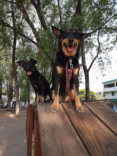 Foto de Veterinaria en Tlalnepantla de Baz