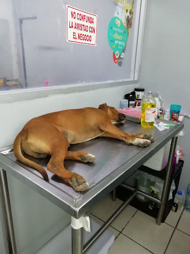 Foto de Veterinaria en Villahermosa