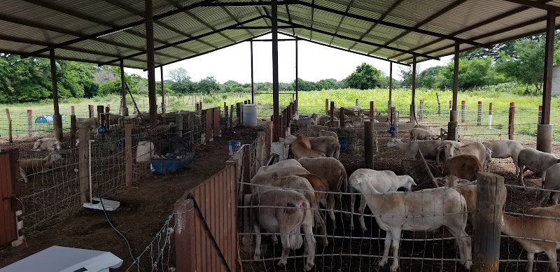 Foto de Veterinaria en Juchitán de Zaragoza