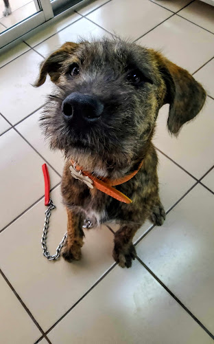 Foto de Veterinaria en Iztapalapa