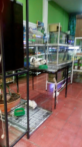 Foto de Tienda de mascotas en Xalapa-Enríquez