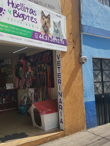 Foto de Veterinaria en Morelia