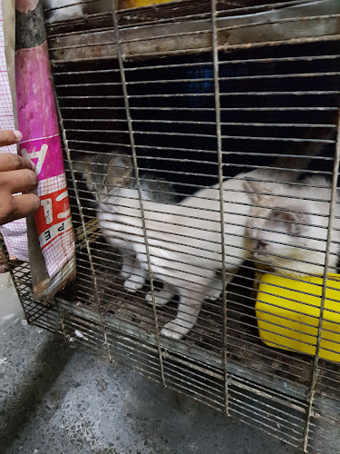 Foto de Veterinaria en Guadalajara
