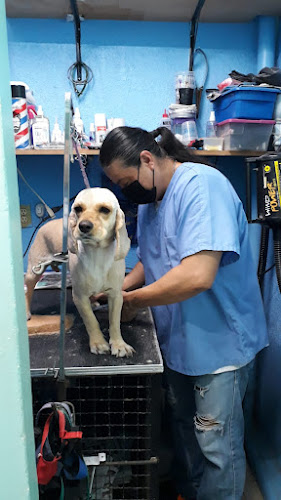 Foto de Veterinaria en Tuxtla Gutiérrez