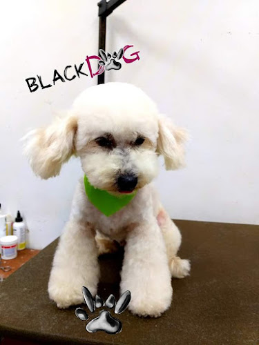 Foto de Estetica veterinaria en Ensenada