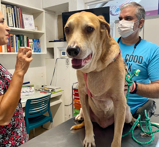Foto de Veterinaria en Cancún