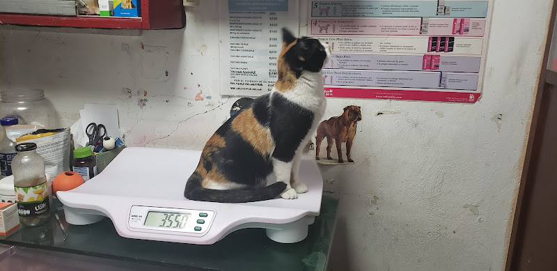 Foto de Farmacia veterinaria en Nezahualcóyotl