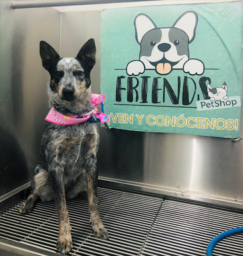 Foto de Tienda de mascotas en San Agustín