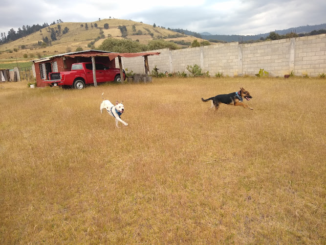 Foto de Veterinaria en Xalatlaco