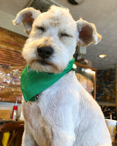 Foto de Veterinaria en Puebla