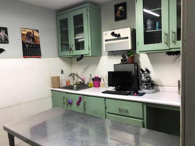 Foto de Veterinaria en Chihuahua