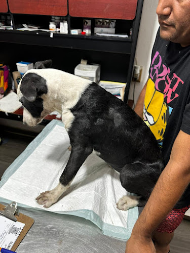 Foto de Veterinaria en Cd Madero