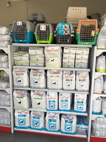 Foto de Tienda de mascotas en Cuernavaca