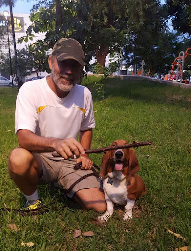 Foto de Adiestramiento canino en Mérida