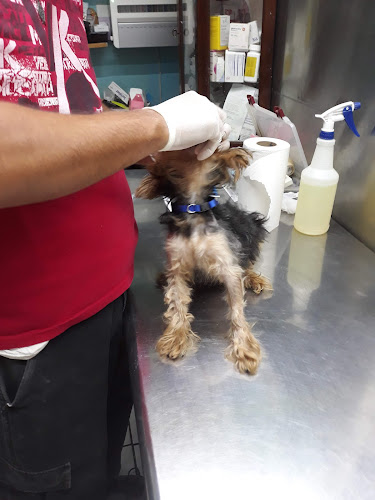 Foto de Veterinaria en Mexicali