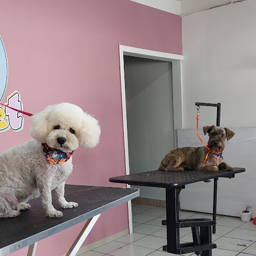 Foto de Estetica veterinaria en Tijuana