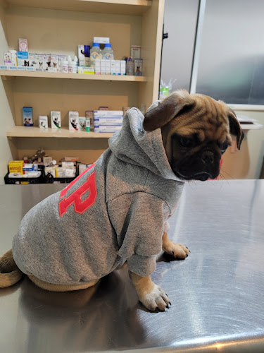 Foto de Veterinaria en Metepec