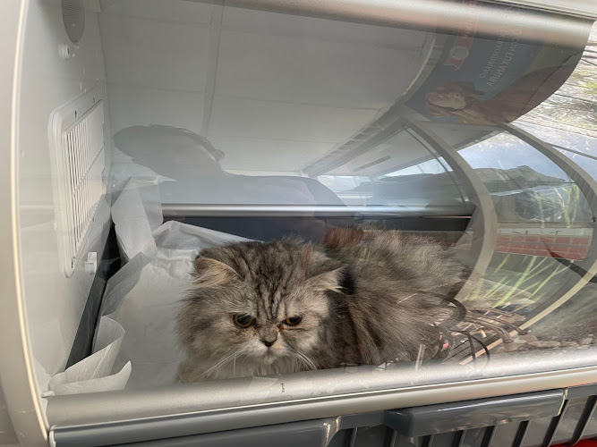 Foto de Veterinaria en Metepec